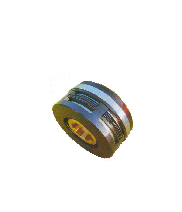 DLM5-Cϵ��ʪʽ��Ƭ������